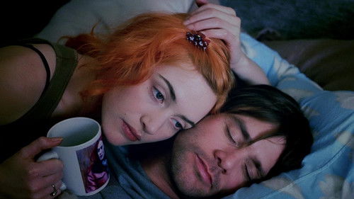 Eternal Sunshine Of The Spotless Mind 2004 Hindi Dual Audio 480p BluRay 300MB
