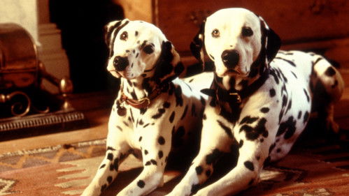 101 Dalmatians (1996) Hindi Dual Audio 720p BluRay [850MB]