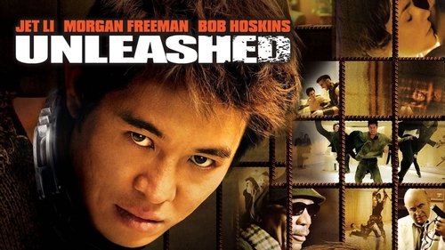 Unleashed (2005) Hindi Dual Audio 480p BluRay 360MB