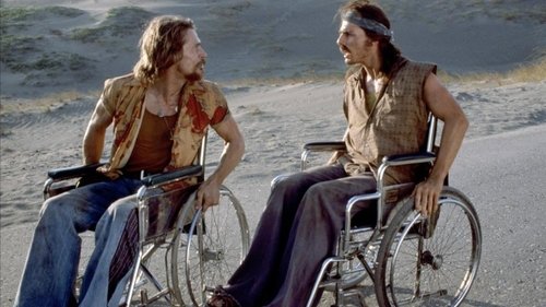 Born on the Fourth of July (1989) Hindi Dual Audio 480p BluRay 400MB