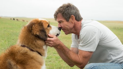 A Dog