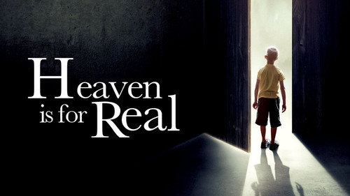 Heaven Is for Real (2014) Hindi Dual Audio 480p BluRay 300MB