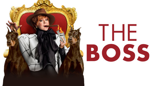 The Boss (2016) Hindi Dual Audio 480p BluRay 350MB