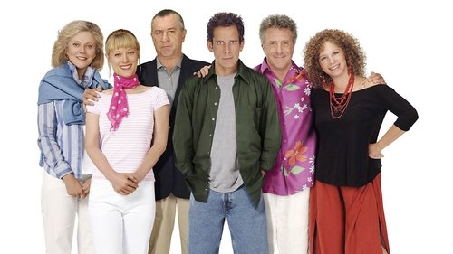 Meet the Fockers 2004 Hindi Dual Audio 480p BluRay 350MB