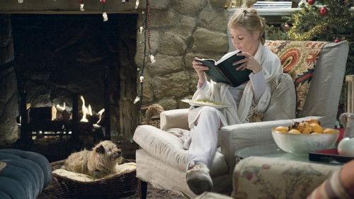 The Holiday 2006 Dual Audio Hindi 480p BluRay 400MB