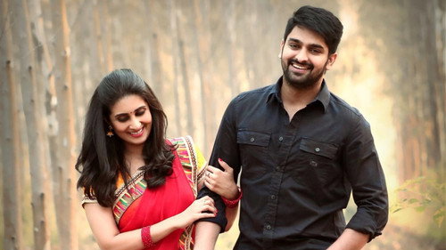 Ammammagarillu (Naani Maa) (2018) Hindi Dubbed 720p HDRip [1.2GB]