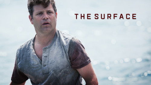 The Surface (2014) Hindi Dual Audio 480p Web-DL 300MB