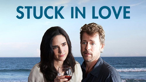 Stuck in Love (2012) Hindi Dual Audio 480p BluRay 300MB