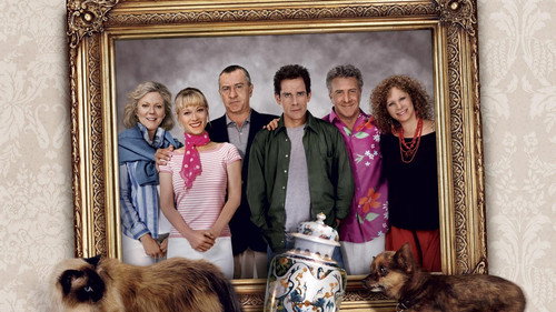 Meet the Fockers 2004 Hindi Dual Audio 480p BluRay 350MB