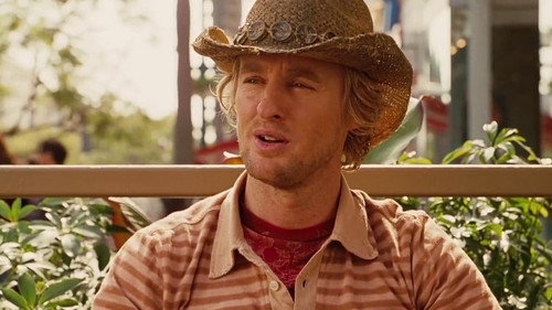 Drillbit Taylor (2008) Hindi Dual Audio 480p BluRay 350MB