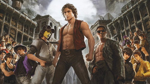 The Warriors 1979 Hindi Dual Audio 480p BluRay 300MB