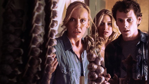 Fright Night (2011) Dual Audio Hindi Movie 720p BluRay - 1GB