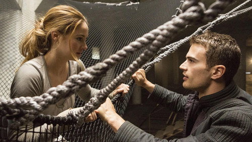 Divergent (2014) Hindi Dual Audio 480p BluRay 450MB
