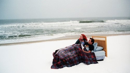 Eternal Sunshine Of The Spotless Mind 2004 Hindi Dual Audio 480p BluRay 300MB