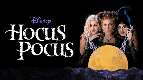 Hocus Pocus 1993 Hindi Dual Audio 480p BluRay 320MB