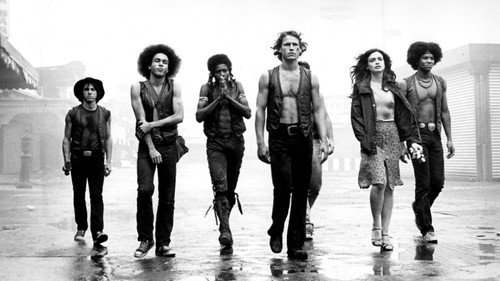 The Warriors 1979 Hindi Dual Audio 480p BluRay 300MB