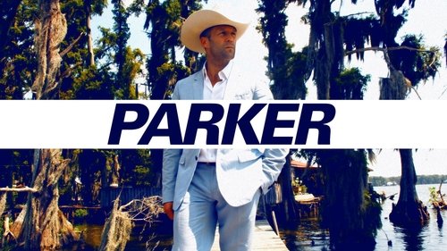 Parker (2013) Hindi Dual Audio 480p BluRay 400MB