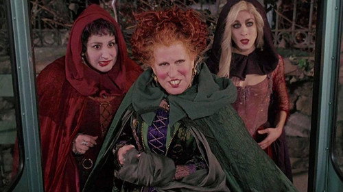 Hocus Pocus 1993 Hindi Dual Audio 480p BluRay 320MB