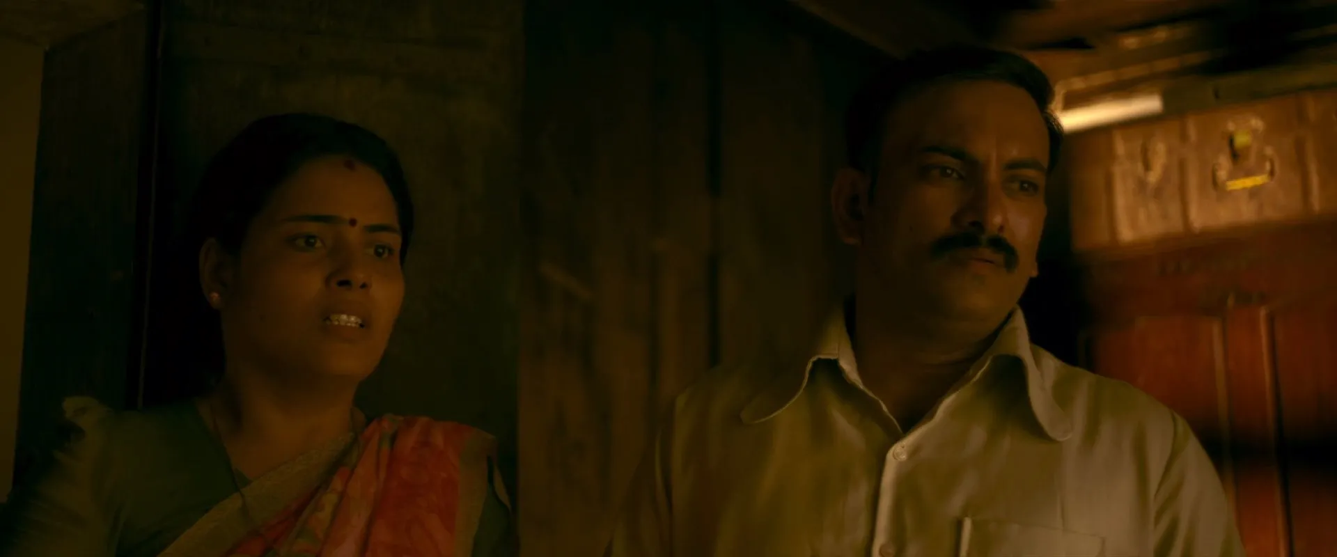 Detective Ujjwalan 2025 Hindi Dual Audio WEB-DL 720p - 480p - 1080p