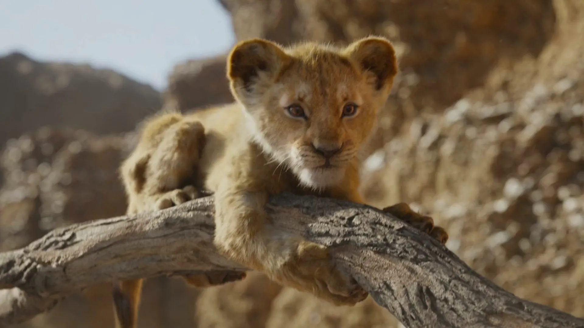 The Lion King 2019 Hindi Dual Audio 1080p - 720p - 480p