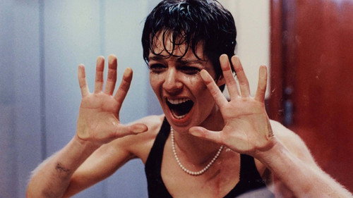 La Femme Nikita (1990) 100mb Hindi Dual Audio Hevc BRRip Download