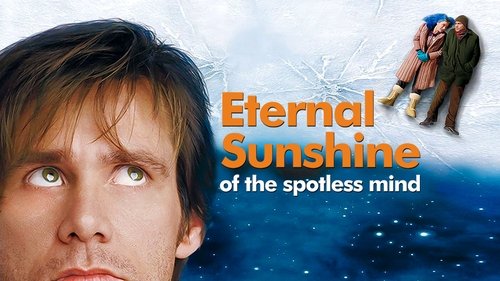 Eternal Sunshine Of The Spotless Mind 2004 Hindi Dual Audio 480p BluRay 300MB