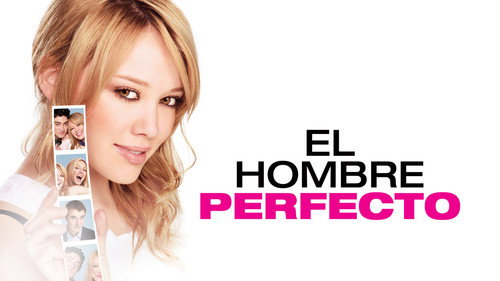 The Perfect Man (2005) Hindi Dual Audio 720p BluRay [1.4GB]