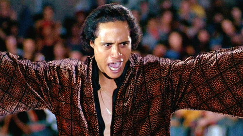 The Warriors 1979 Hindi Dual Audio 480p BluRay 300MB