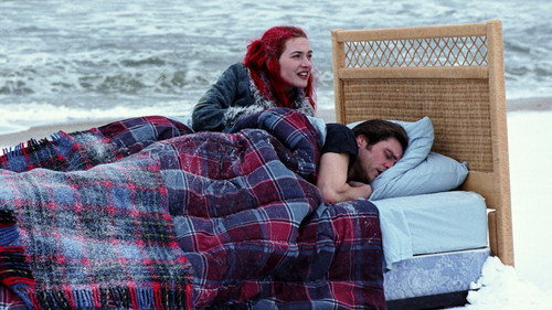 Eternal Sunshine Of The Spotless Mind 2004 Hindi Dual Audio 480p BluRay 300MB