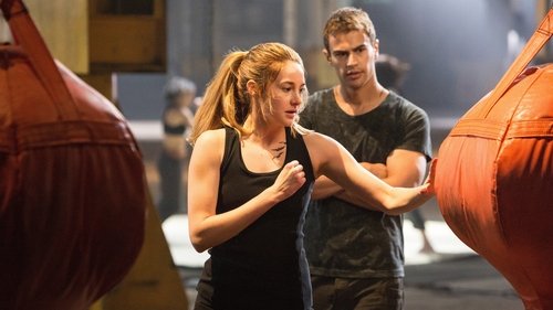 Divergent (2014) Hindi Dual Audio 480p BluRay 450MB
