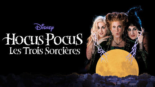 Hocus Pocus 1993 Hindi Dual Audio 480p BluRay 320MB