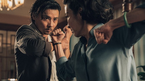 Master Z: The Ip Man Legacy (2018) Hindi Dual Audio 720p BluRay [1GB]