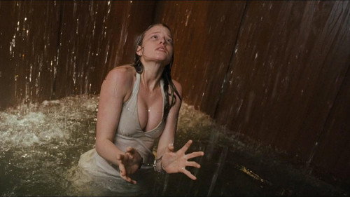 P2 (2007) Hindi Dual Audio 480p BluRay 300MB