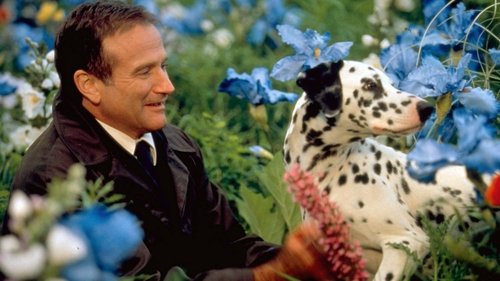 What Dreams May Come (1998) Dual Audio Hindi 480p BluRay 350MB