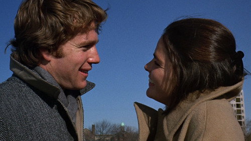 Love Story (1970) Hindi Dual Audio 720p BluRay [870MB]