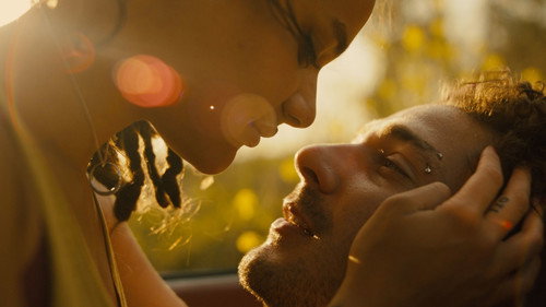 American Honey (2016) Hindi Dual Audio 480p BluRay 500MB