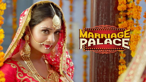 Marriage Palace (2018) Punjabi 720p HDRip [1GB]