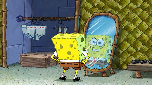 The SpongeBob SquarePants (2004) Hindi Dual Audio 720p BluRay [850MB]
