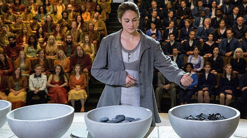 Divergent (2014) Hindi Dual Audio 480p BluRay 450MB