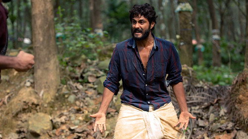Angamaly Diaries (2017) Hindi Dual Audio 480p HDRip 400MB