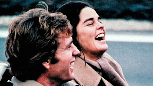 Love Story (1970) Hindi Dual Audio 720p BluRay [870MB]