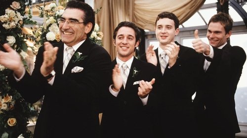 American Wedding (2003) Hindi Dual Audio 480p BluRay 300MB