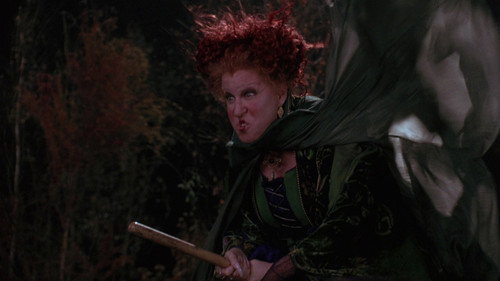 Hocus Pocus 1993 Hindi Dual Audio 480p BluRay 320MB