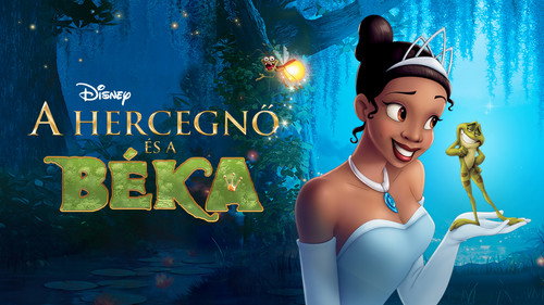 The Princess and the Frog (2009) Dual Audio Hindi Movie 480p HDRip - [380MB]