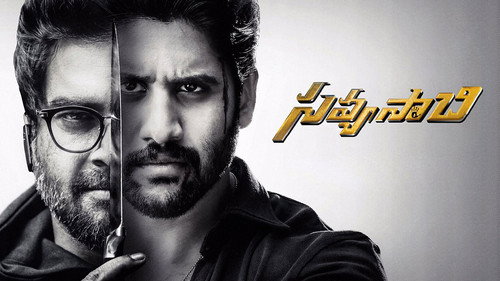 Savyasachi (2018) Hindi Dual Audio 480p UnCut HDRip 450MB