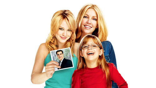 The Perfect Man (2005) Hindi Dual Audio 720p BluRay [1.4GB]