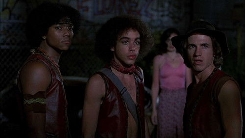 The Warriors 1979 Hindi Dual Audio 480p BluRay 300MB