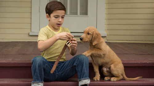 A Dog