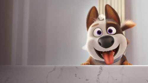 Dog Gone Trouble (2019) Hindi Dual Audio 720p Web-DL [850MB]