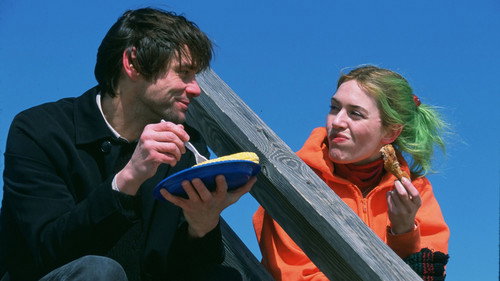 Eternal Sunshine Of The Spotless Mind 2004 Hindi Dual Audio 480p BluRay 300MB